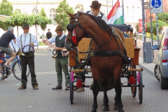 Dugonics tér, 2019. 06. 16.