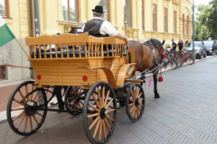 Dugonics tér, 2019. 06. 16.